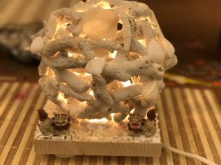 サンゴランプ作り体験お洒落度 満足度100パーセント 石垣島 じゃらん限定 手作りランプを貝殻でデコレーション カップル ファミリー 女性 琉球まぶやー 雑貨と手作り工房 じゃらん遊び体験 サンゴランプ作り体験お洒落度 満足度100パーセント 石垣島 じゃらん限定 手作りランプを貝殻でデコレーション カップル ファミリー 女性 琉球まぶやー 雑貨と手作り工房 じゃらん遊び体験