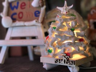 サンゴランプ作り体験お洒落度 満足度100パーセント 石垣島 じゃらん限定 手作りランプを貝殻でデコレーション カップル ファミリー 女性 琉球まぶやー 雑貨と手作り工房 じゃらん遊び体験 サンゴランプ作り体験お洒落度 満足度100パーセント 石垣島 じゃらん限定 手作りランプを貝殻でデコレーション カップル ファミリー 女性 琉球まぶやー 雑貨と手作り工房 じゃらん遊び体験