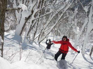 【プライベートでご案内】眺望抜群!袴岳ブナの森コース