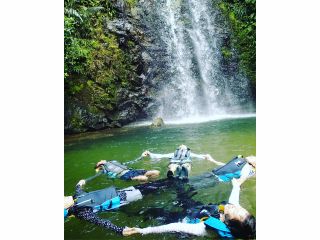 世界自然遺産の滝で癒し