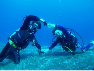 伊豆 カップルプラン 水中ポストで記念写真 大事な人に手紙を書こう 伊豆 海洋公園ツアー 北千住 上野 池袋 新宿発伊豆ツアー キッチンダイブ じゃらん遊び体験 伊豆 カップルプラン 水中ポストで記念写真 大事な人に手紙を書こう 伊豆 海洋公園ツアー 北千住 上野 池袋 新宿発伊豆ツアー キッチンダイブ じゃらん遊び体験