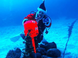 伊豆 海洋公園 水中ポスト