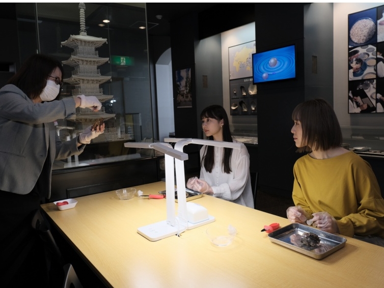 まずはアコヤ真珠の取出し体験!各テーブルにスタッフが付き、丁寧に取出し方を説明いたしますので安心してお楽しみいただけます♪