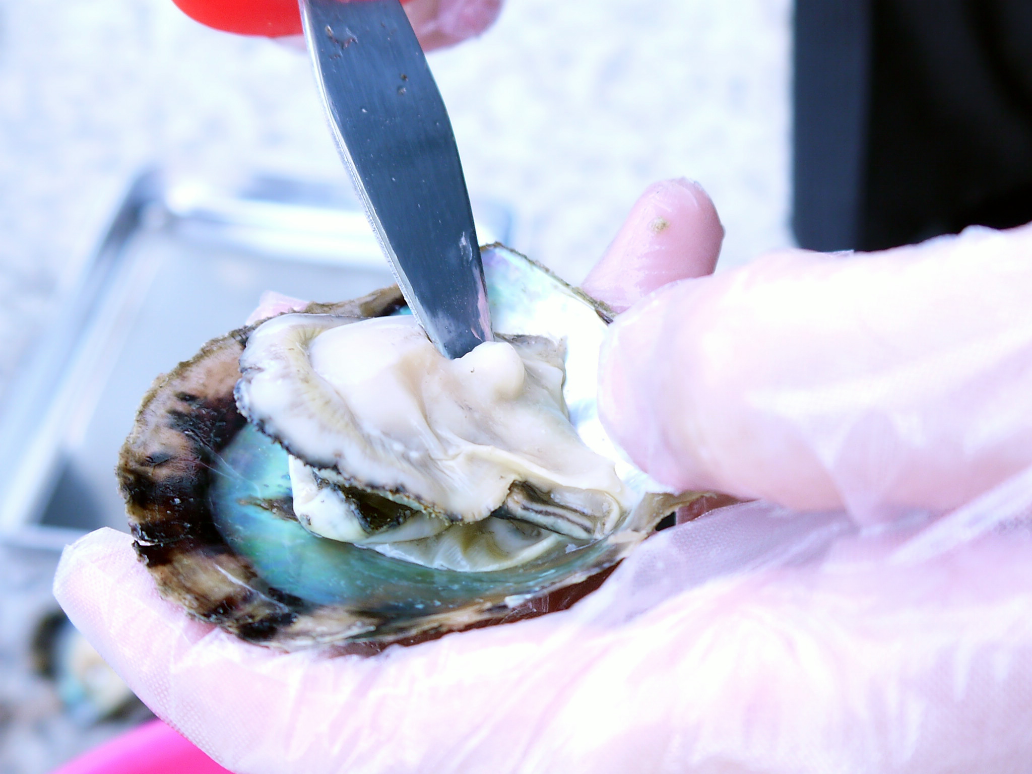 �^��̎�o���̌��͏����Ȃ��q�l���炲�N�z�̕��܂Ńt�@�~���[�A���F�B�A������񂨂ЂƂ�ł����y���݂��������܂��I