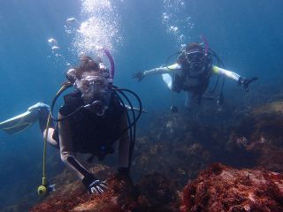 海の中は気持ちよいいよ!