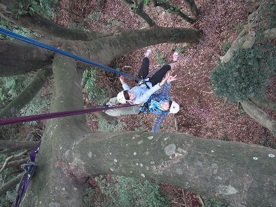 外房の森でツリークライミングを楽しみましょう!