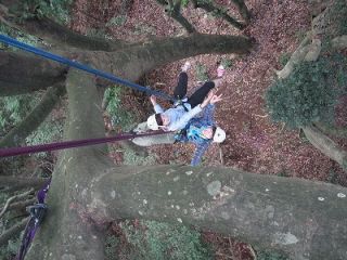 樹上から登ってくる人に、頑張れ〜!の応援