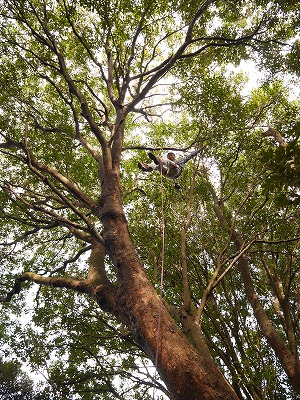 ܂łƂAX̒𒹂⒎̎_ŌnĂ݂悤I