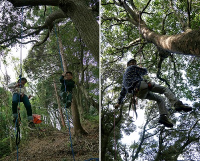 ZpxA̗͂ɍ킹5[g15[g̖؂IԂƂo܂B