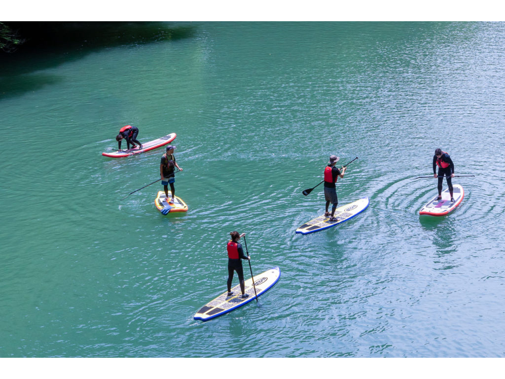 ͂̍{[gňSĊy߁ANEʖ킸lCłB