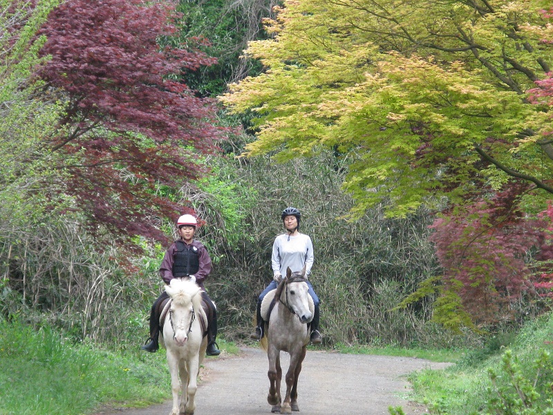 春の新緑の季節、ウグイスなどの鳥達の鳴き声を聞きながらのお散歩。