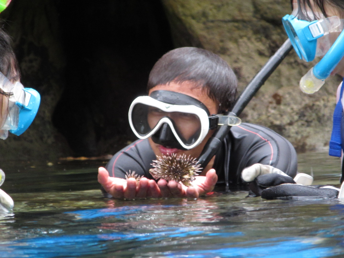 いろんな生き物に触れ合いましょう!