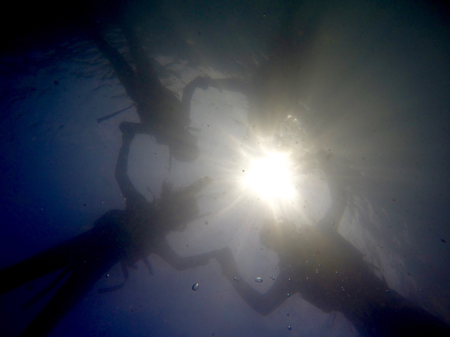 みんな集まって下からとると… フォトジェニック!インスタ映え間違いなし!