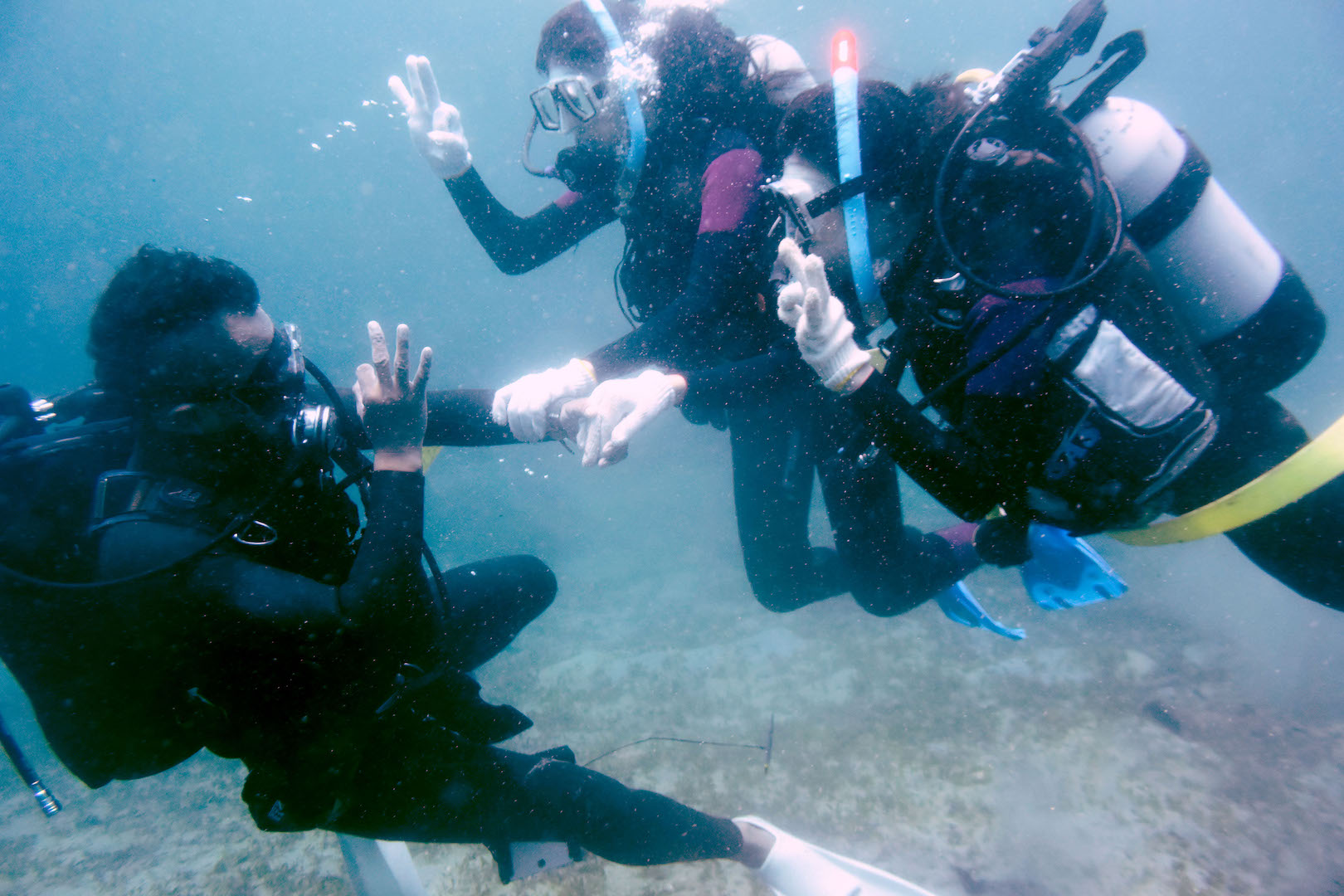 ベテランインストラクターがご案内します!