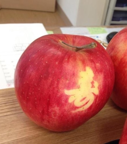 りんごに絵入り体験 あなたのお好きな絵や文字がりんごに 0 嬉しいりんごの試食つき りんごがまだ青い時期限定 田村りんご園 じゃらん遊び体験