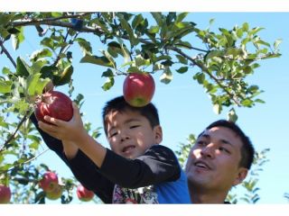 群馬 沼田 りんご狩り 大かご おおよそ3 5kg お持ち帰り ファミリー カップル 女性にオススメ じゃらん限定 田村りんご園 じゃらん遊び体験 群馬 沼田 りんご狩り 大かご おおよそ3 5kg お持ち帰り ファミリー カップル 女性にオススメ じゃらん限定 田村りんご園 じゃらん遊び体験