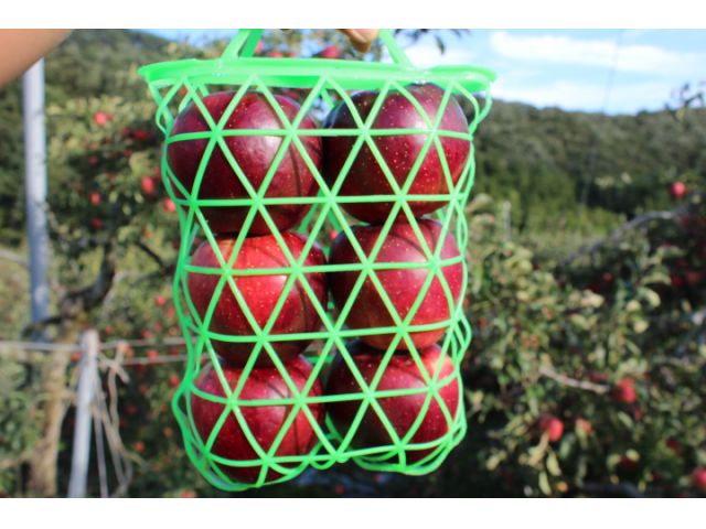 お持ち帰りいただけます♪