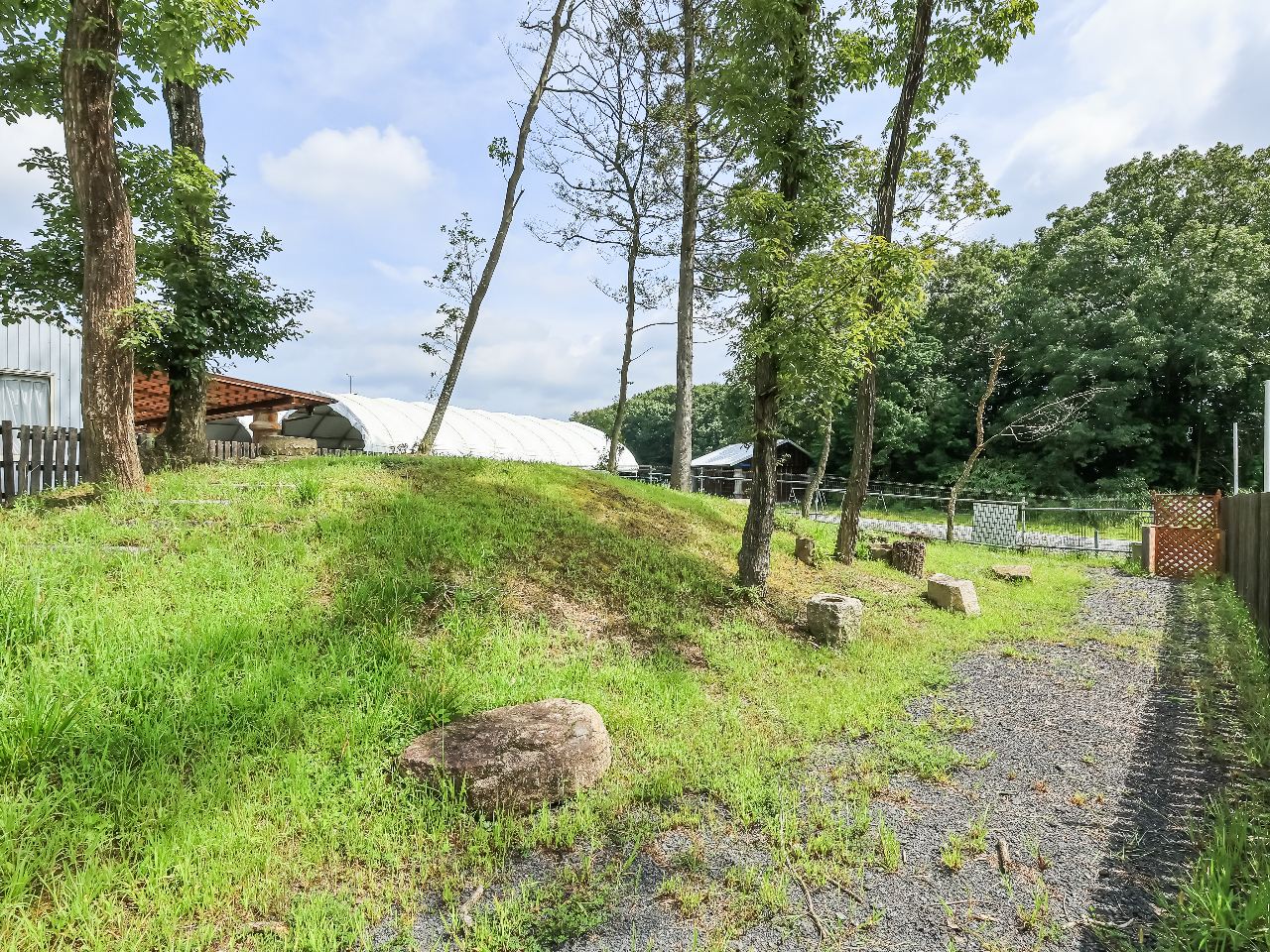 BBQ場の横には無料のドッグランがあります☆