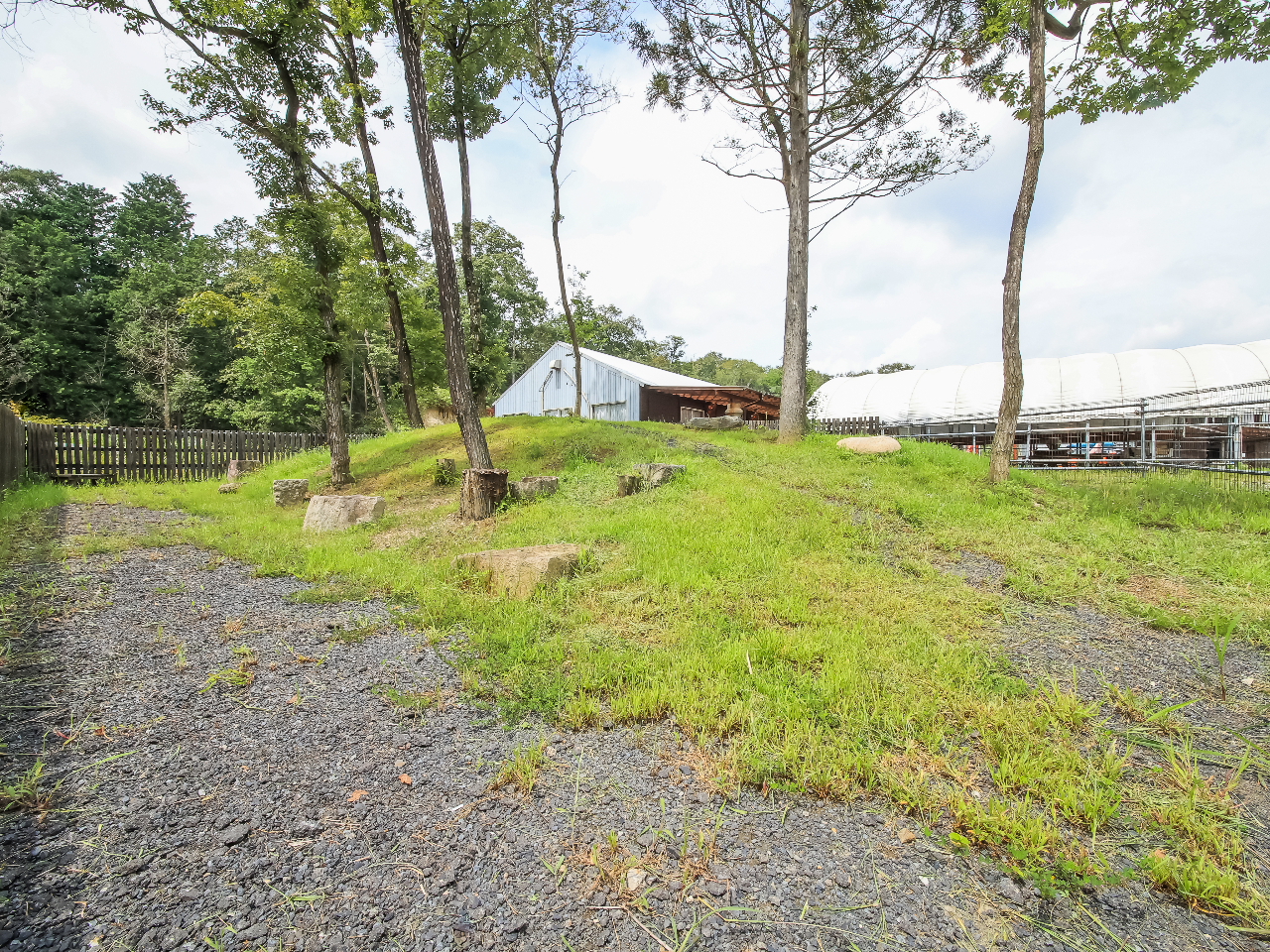 愛犬と一緒に食後の運動☆