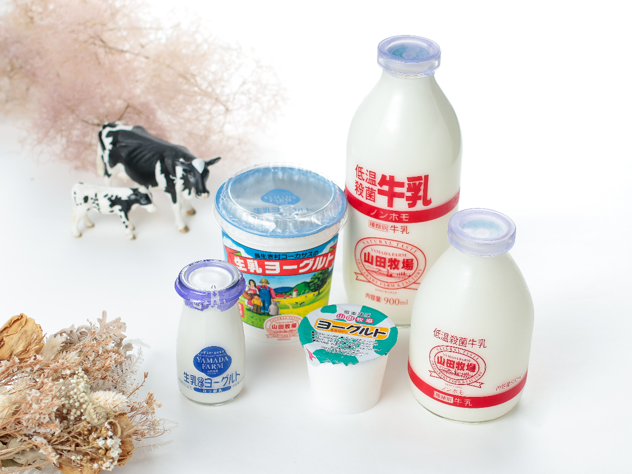 新鮮な牛乳やヨーグルトも販売しています☆