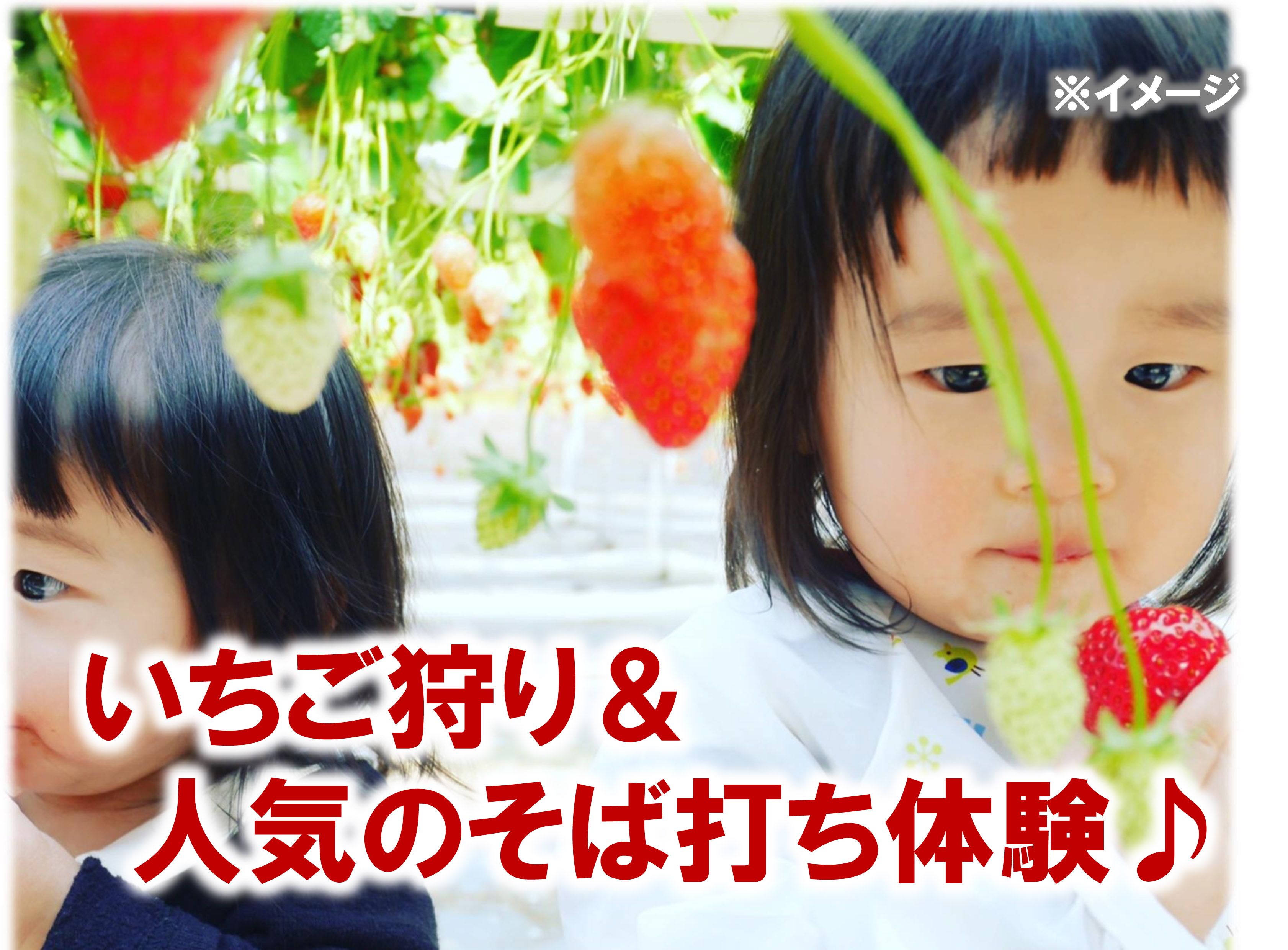 【マイカープラン】いちご狩り&人気のそば打ち体験★旬の味覚とご当地体験をまとめて...