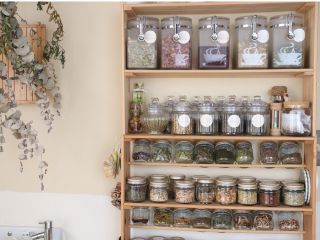 教室には随時60〜70種類のハーブが揃っています。