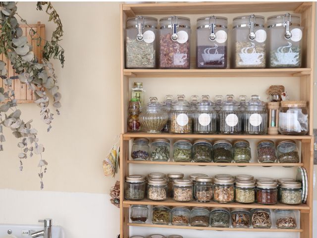 教室には随時60〜70種類のハーブが揃っています。