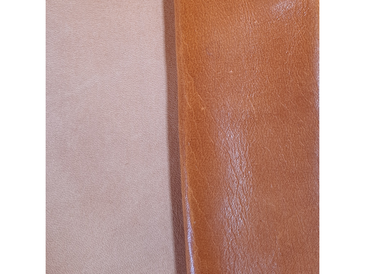 GCWO@beforeEafter(l͂j