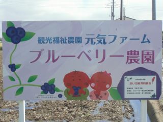 ブルーベリー農園看板