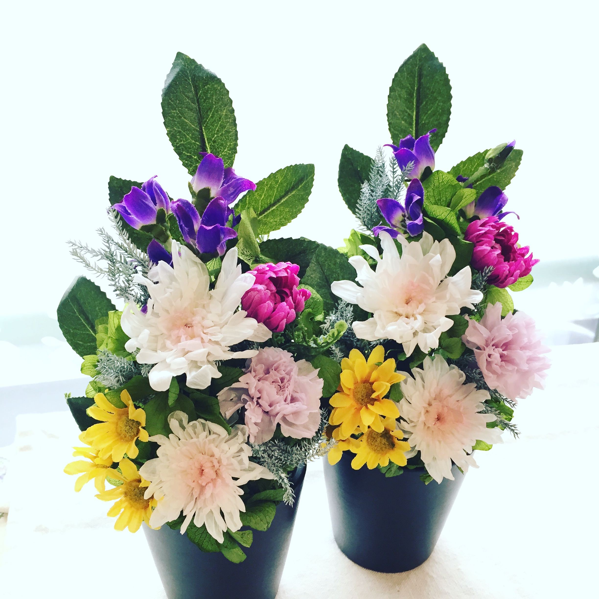 ւ̂ȂvU[uht[Ԃ͗}݂݂̂lCłB