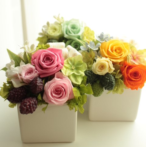 Ă邾ŁA邢CɂȂAWłsNECG[EO[炨Iт(11~11~14cm  ʔNAP[XL400~j