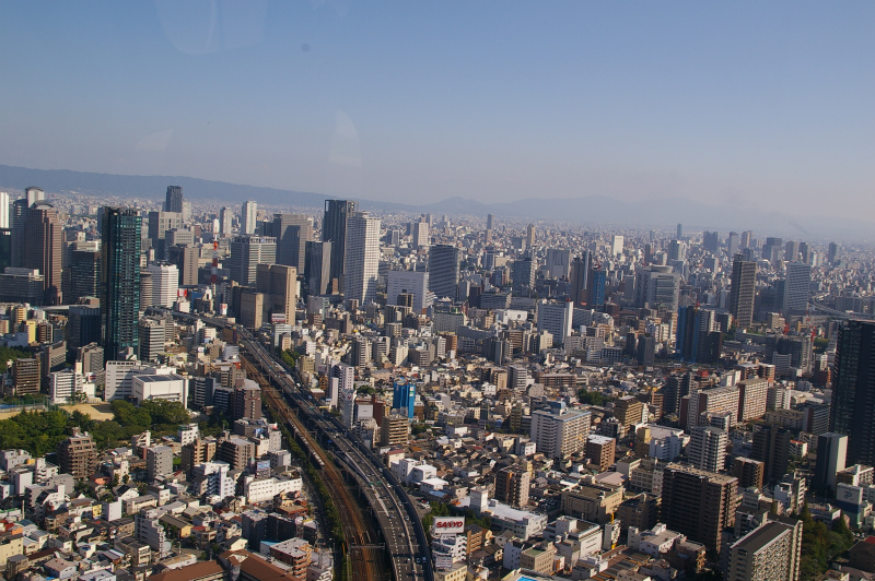 デイクルーズ 大阪市内10分 ダウンタウンコース 小川航空株式会社 じゃらん遊び体験 デイクルーズ 大阪市内10分 ダウンタウンコース 小川航空株式会社 じゃらん遊び体験