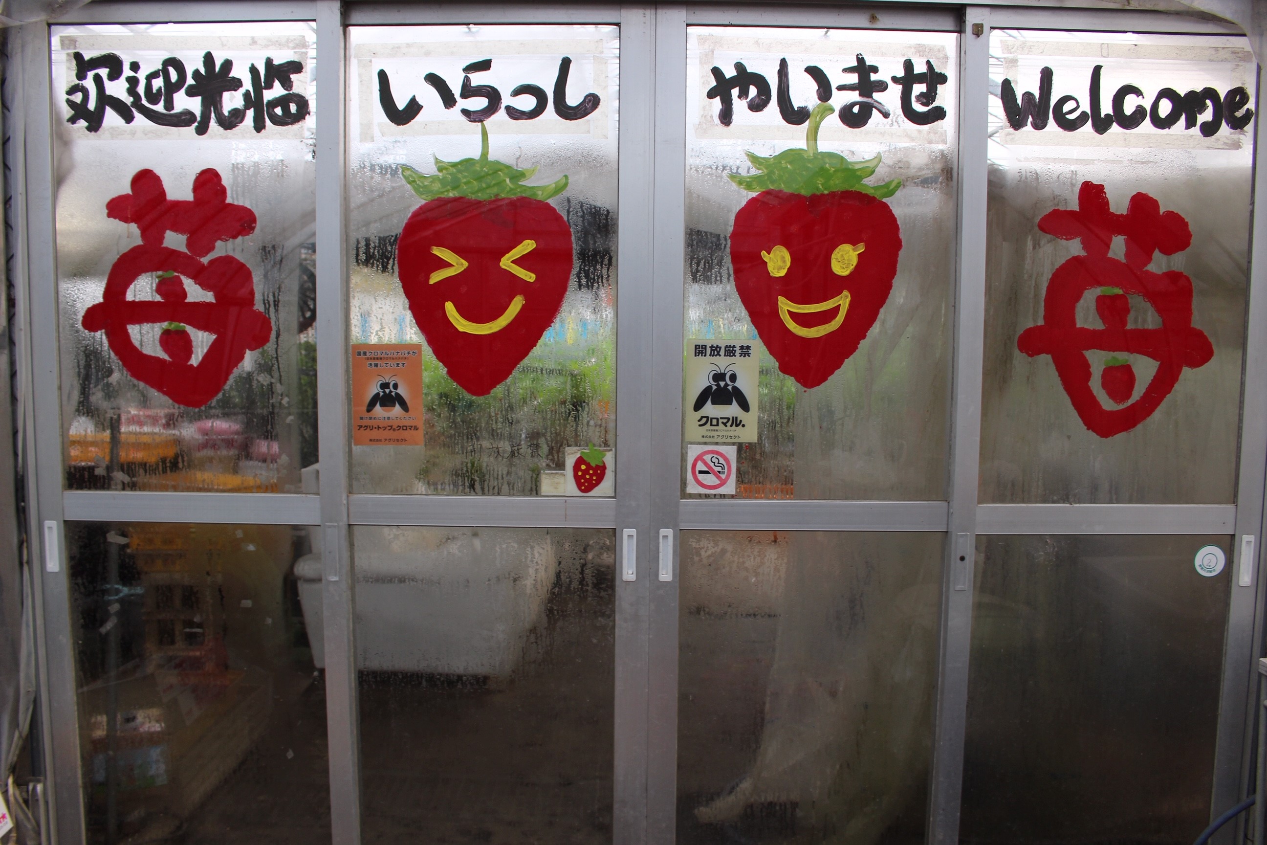 ���Ƒ���J�b�v���ȂǁA���U�����킹�̏エ�z�����������I