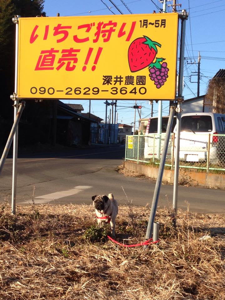 �Ŕ�ڈ�ɂ��z�����������I