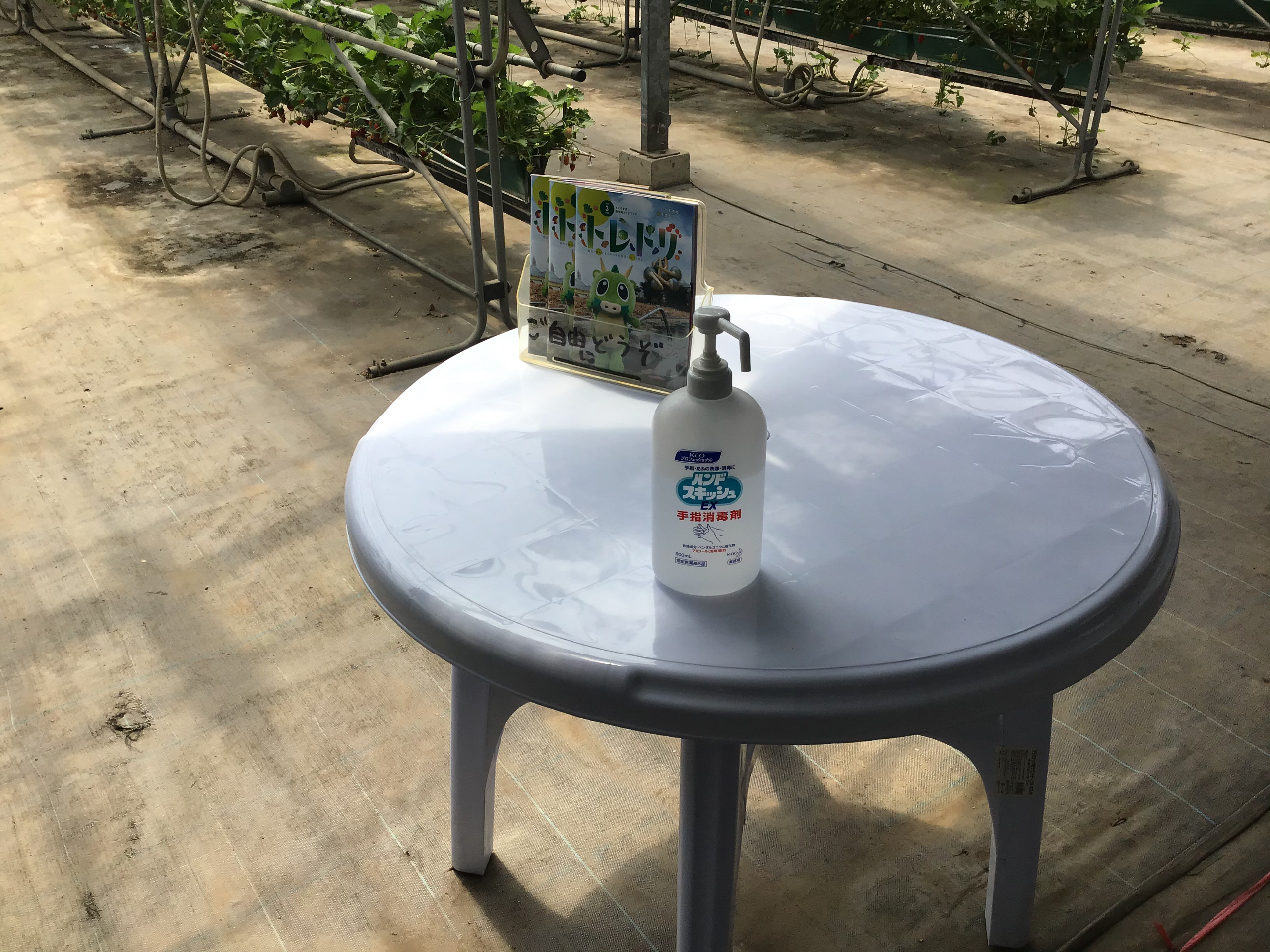 �A���R�[�����ł����肢���܂��B