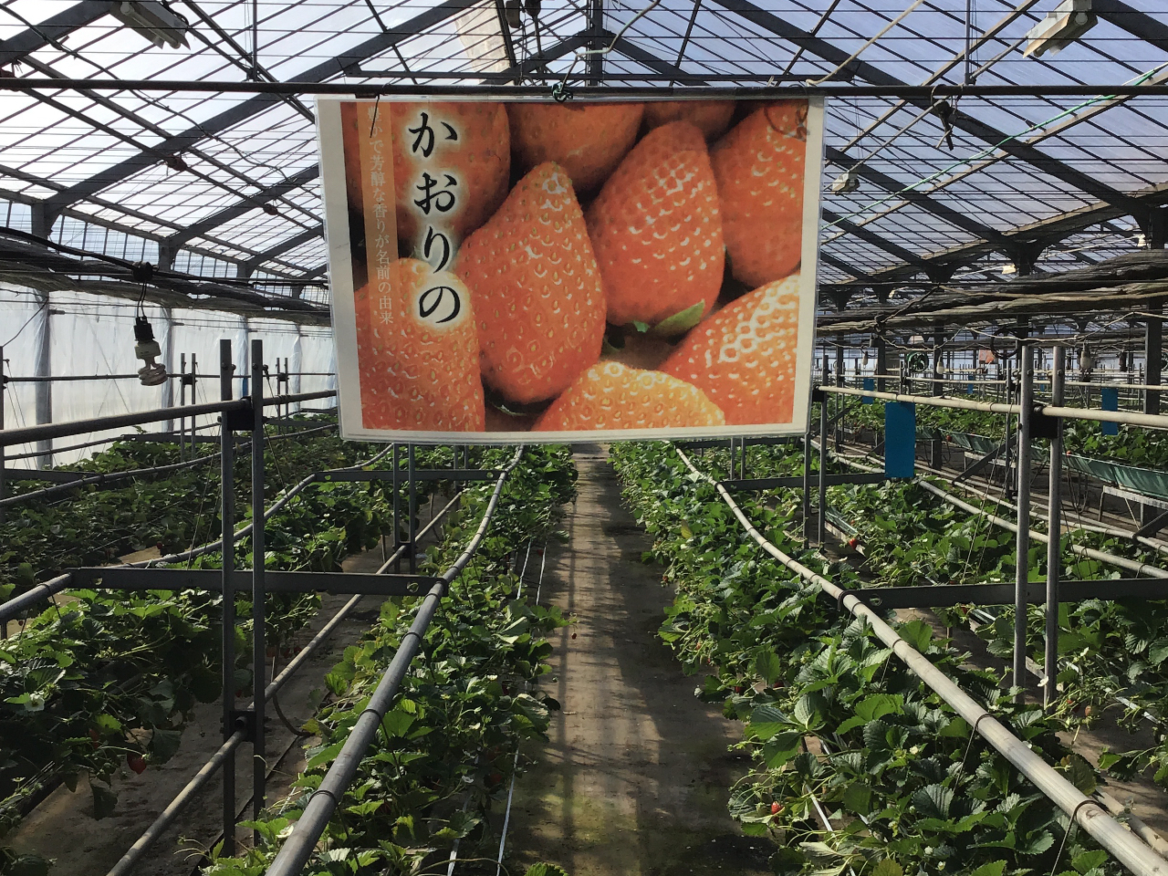 �ő�R��ނ̂����������\�ł��܂��B��