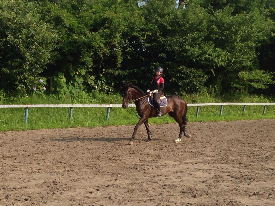 【じゃらん限定】初心者の方はこちらから!30分体験乗馬コース♪