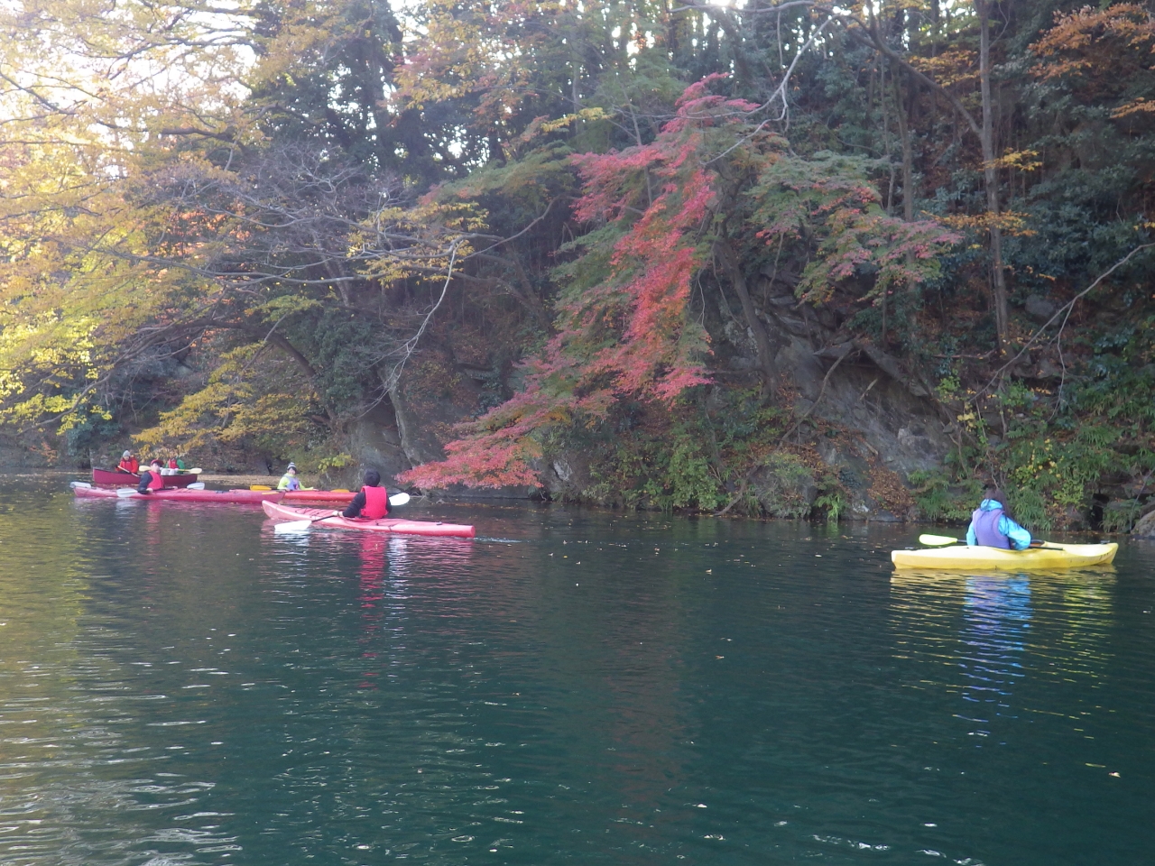 Δȗт̃JGf̍gtBJȃbXƋG߂ɑΉcA[ŁAJk[̑ʓIȊyݕÏkďЉBJk[̈SEZpAĎRT3{łB