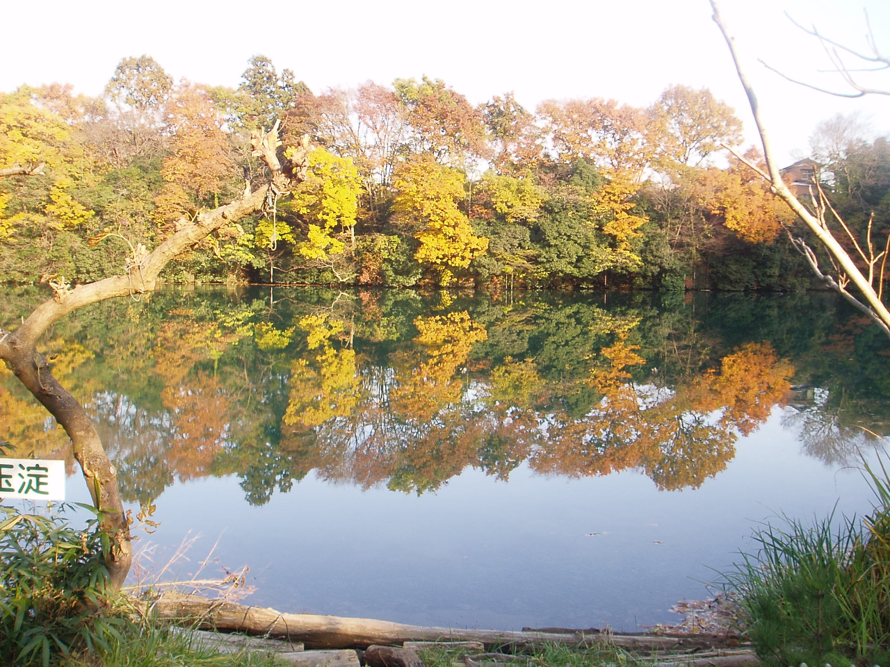 ܂ǌ΂̃xXgV[YB10{`11ςB5`7{̐V΂߁B