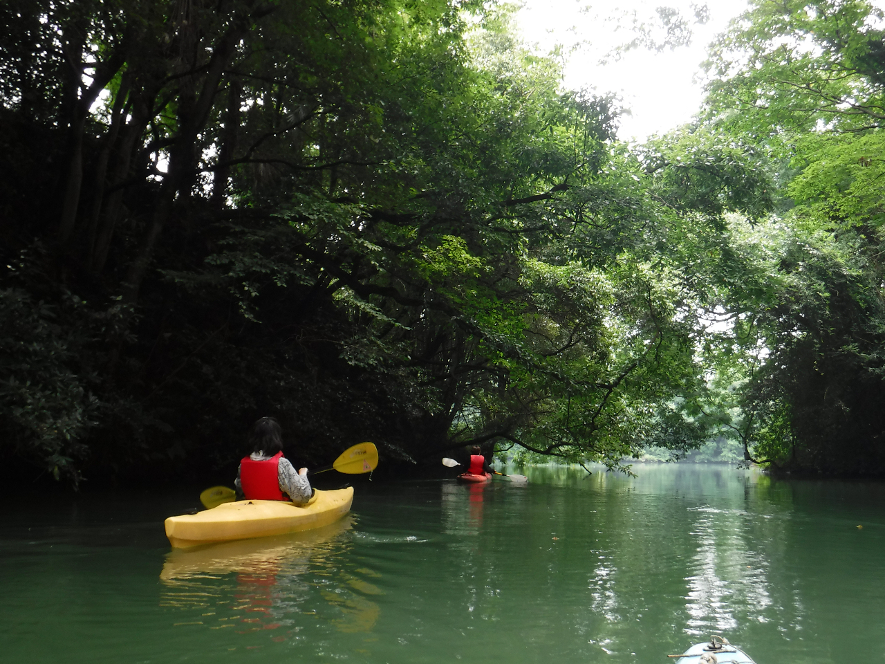 非常に安定の良いタイプのカヤックを使います。乗り降りから一連の動作をマスターできるコースです。