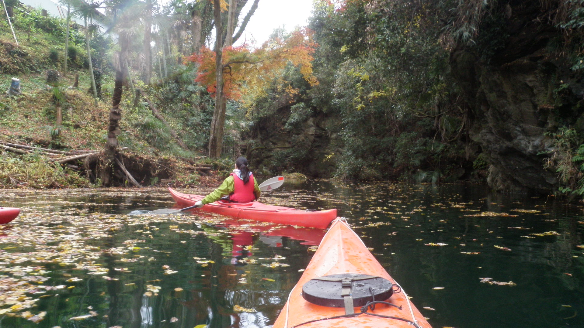 gtV[Ỹc[OiGӏH̃JGf̃Of[VƌΖʂ̗tɊBo[JbNEV[JbNg܂BJifBA͗\񎞂Ɉ񉺂B