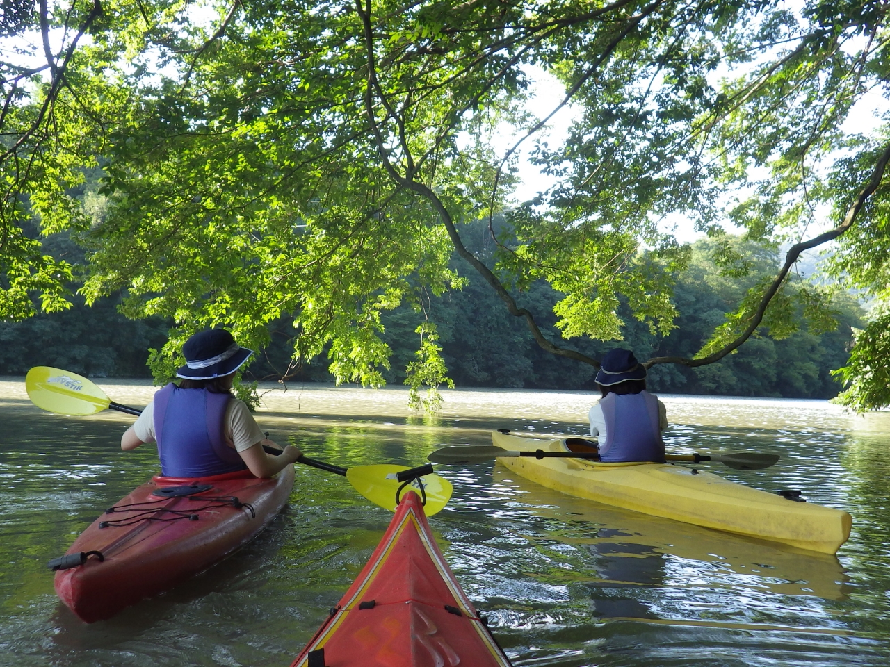 Δȗт̃PLƃtW̖̉ŁAbNXAЂƂ₷݁B