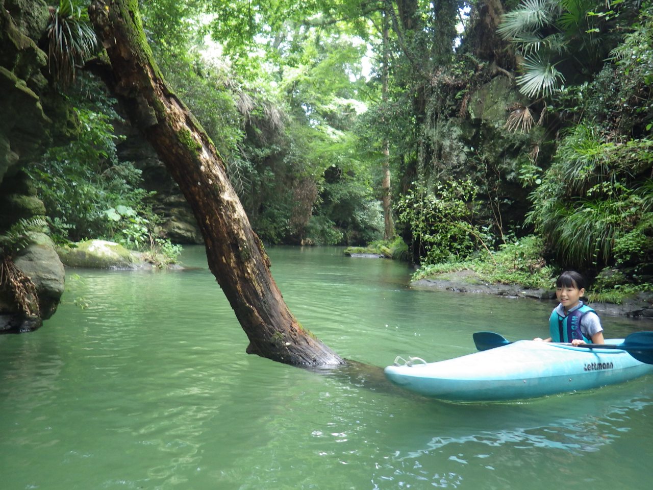 o[JbN͉]\ɗDA肪܂̂œg񂾋]Ŗ{̂𔭊܂B