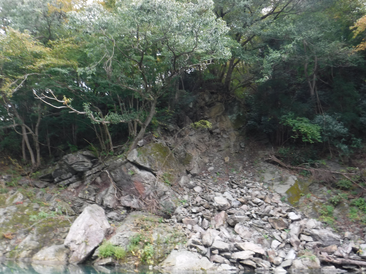 KCh͓܂B΁E|ؓ댯ɂ͏\ӂKvłB̏ꍇAȐӔCƂȂ܂B