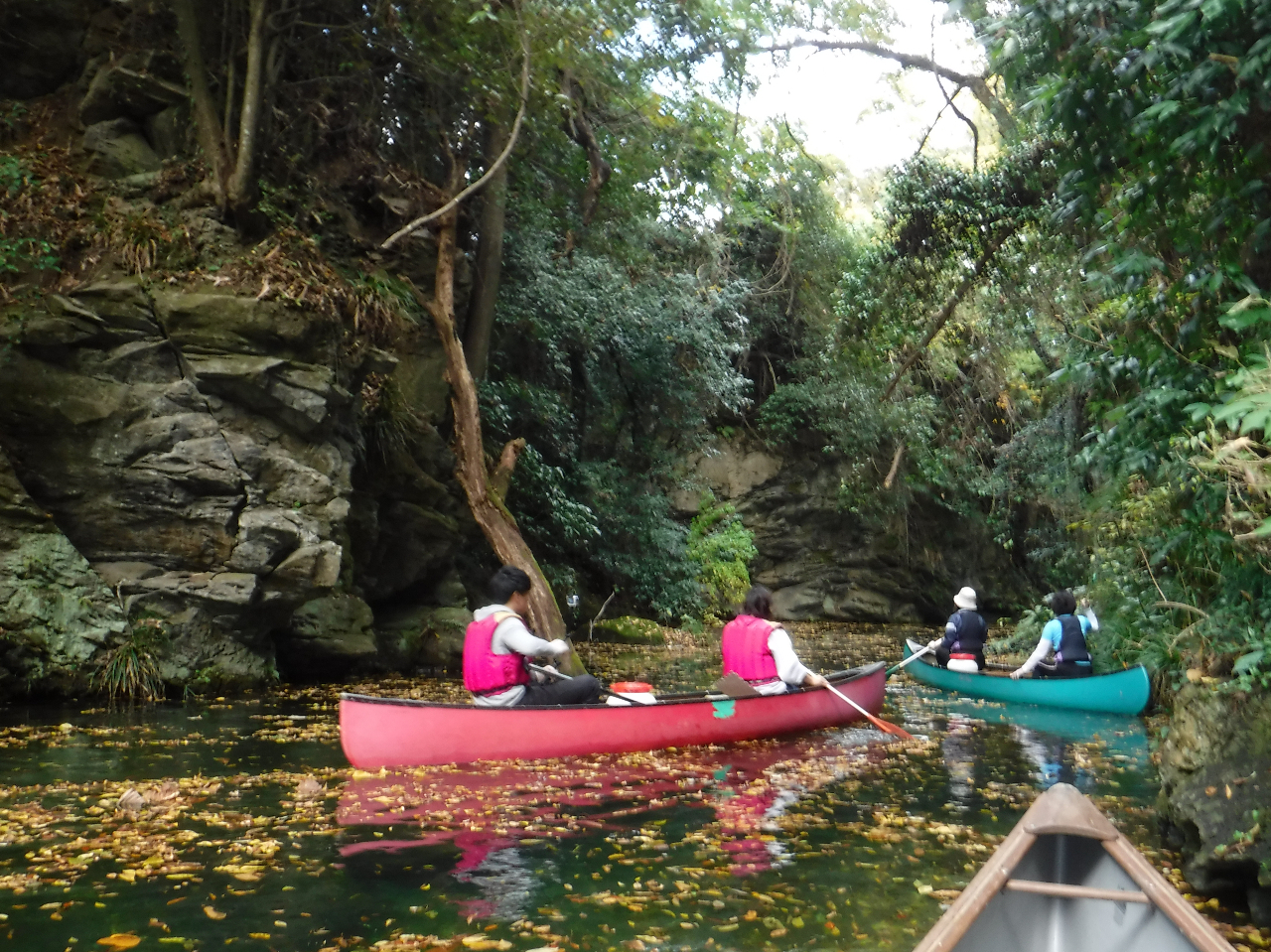 EIȖAI[h^EE}bho[Ђ̒g܂B