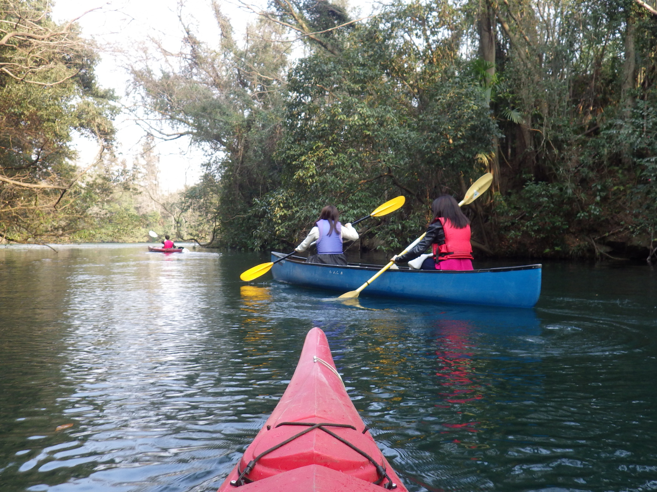 AJ@I[h^EАg܂Bph͖{iVOu[hł͂ȂAʐ^̂悤ȃJbNp_uu[hphg܂B