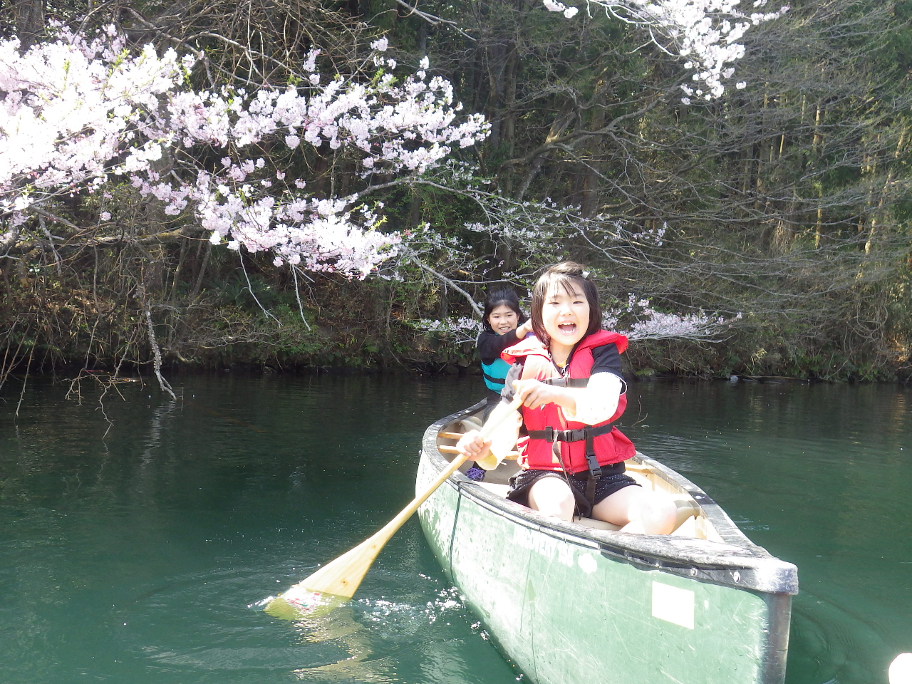 {}X^[΁AJk[͏wVjA̕܂ő̗͂ɉĊyނƂ̂ł̌łBÂȂ₩ȓAS҂ɂ͂߂łB