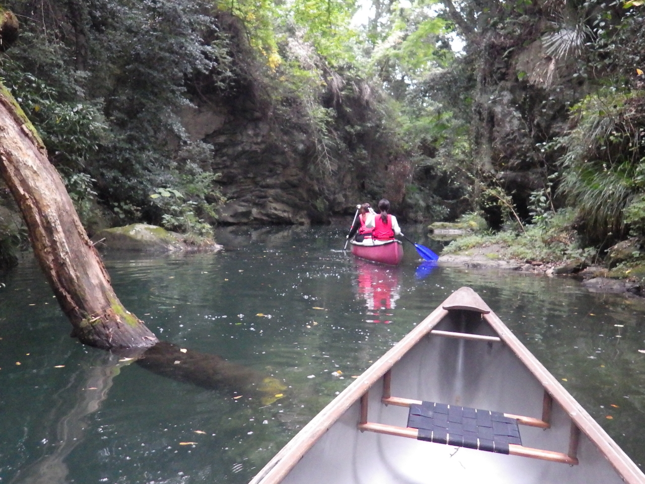 カヌーに慣れたら、より奥の狭い空間へGo! ピボットターンが必要です。
