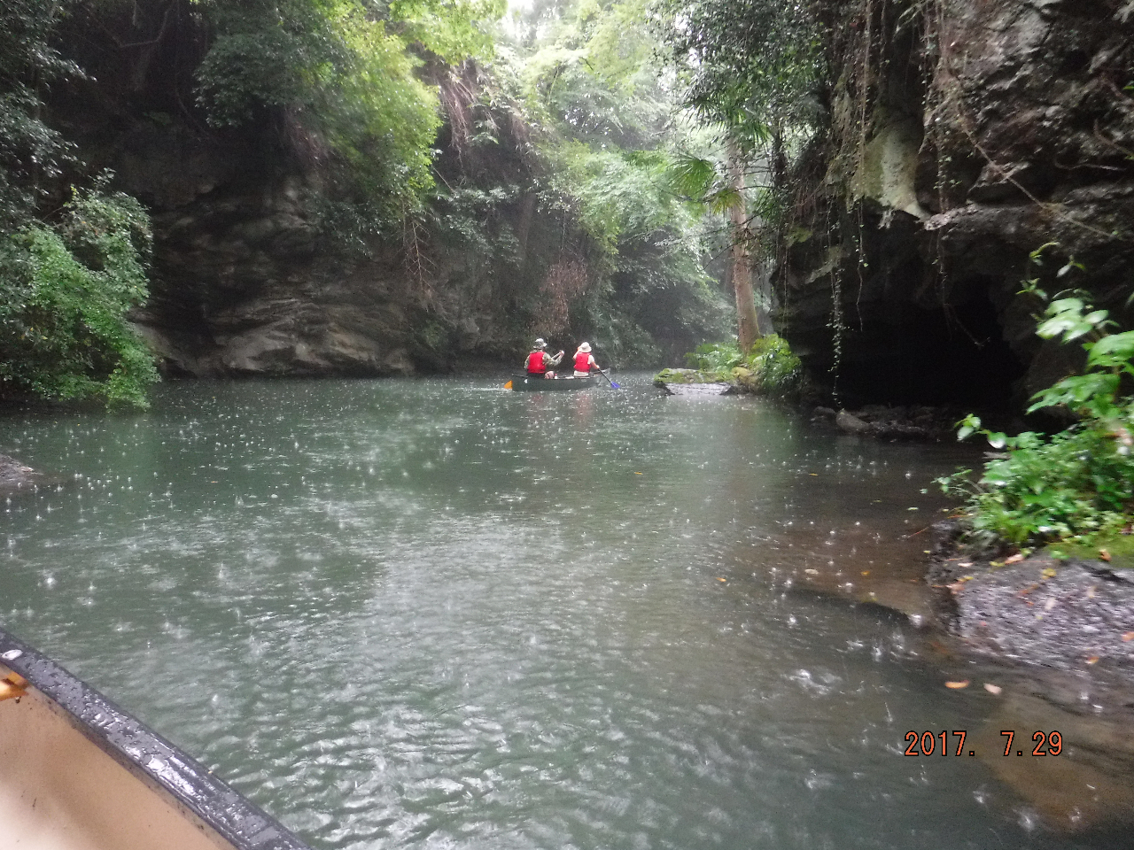 {iIȃJifBA͉]\ɂDA肪܂̂œg񂾋]ł{̂𔭊܂B