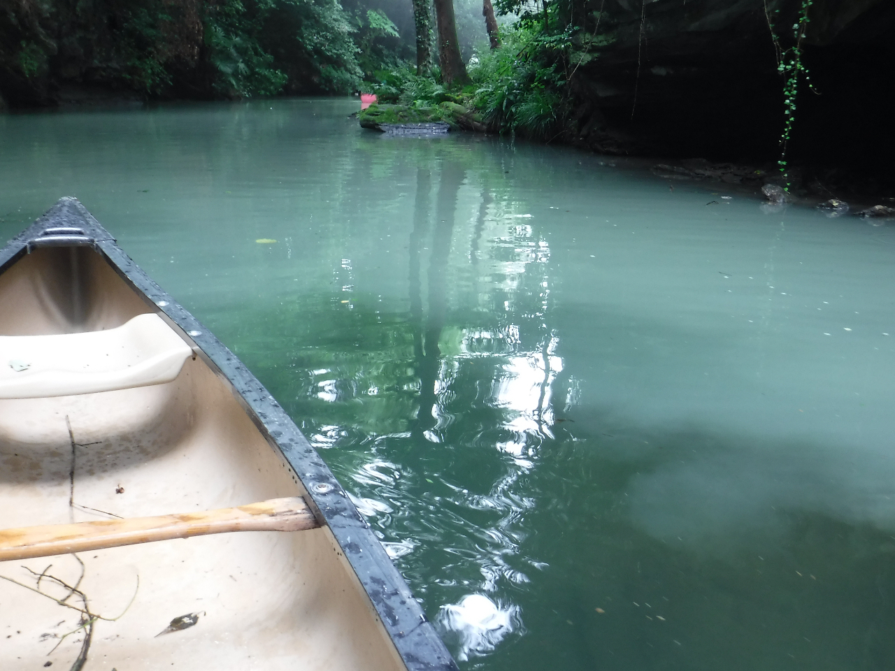 雨後のこの日は、支流の清水と荒川本流のダム湖の水が合流する辺りに、さながら「塩水くさび」のような不連続面ができていました。